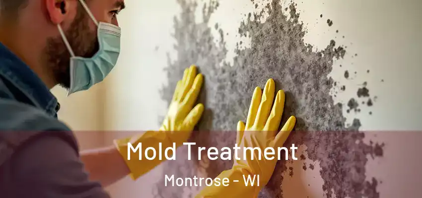 Mold Treatment Montrose - WI