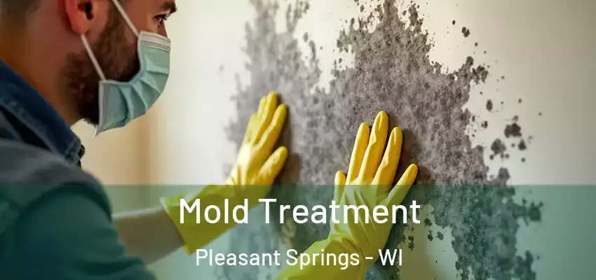  Mold Treatment Pleasant Springs - WI