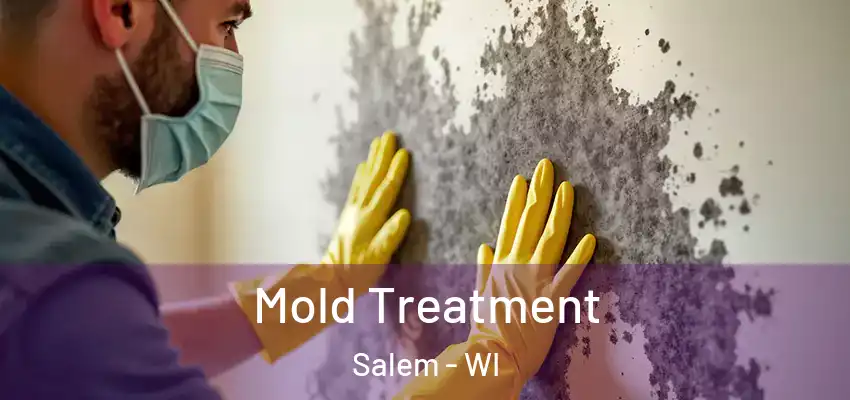  Mold Treatment Salem - WI