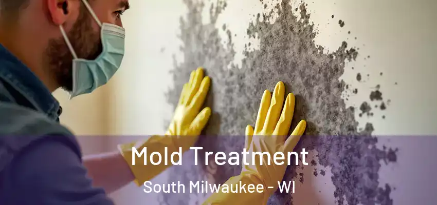  Mold Treatment South Milwaukee - WI