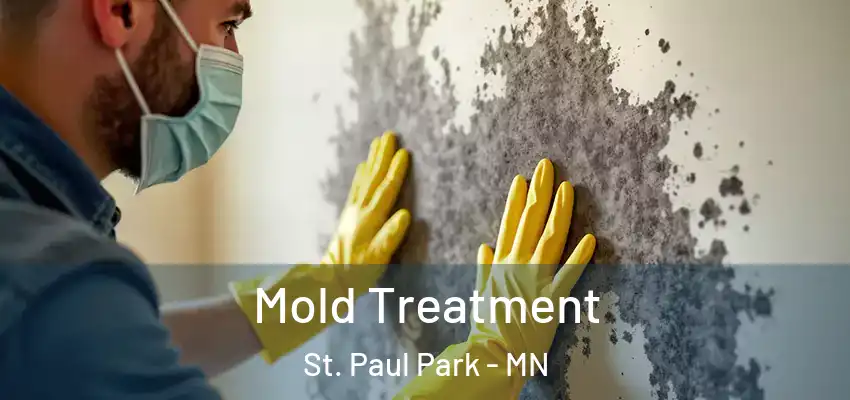  Mold Treatment St. Paul Park - MN