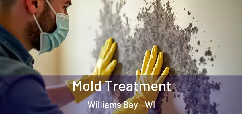  Mold Treatment Williams Bay - WI