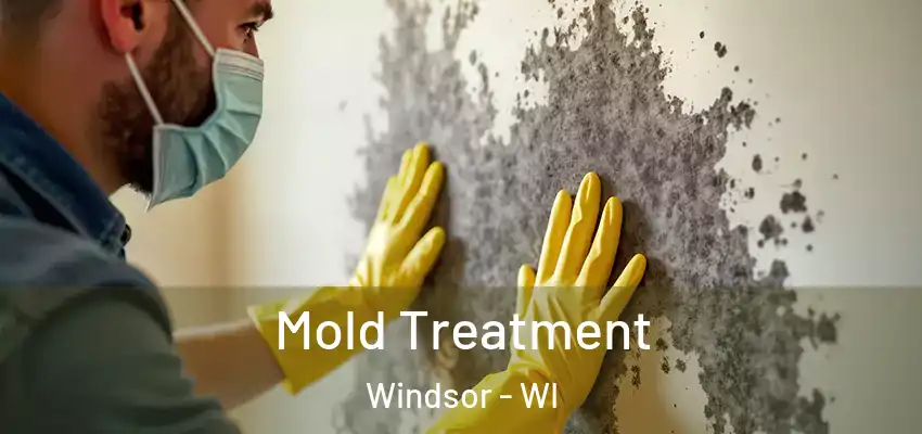  Mold Treatment Windsor - WI
