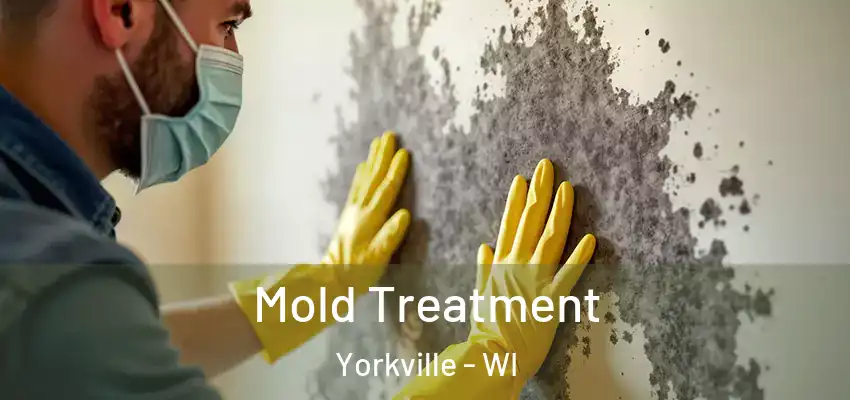 Mold Treatment Yorkville - WI