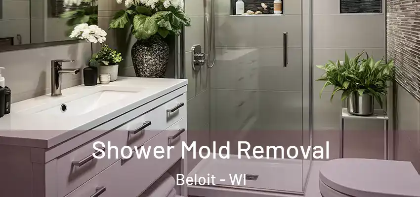 Shower Mold Removal Beloit - WI