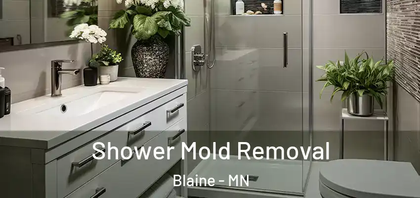  Shower Mold Removal Blaine - MN