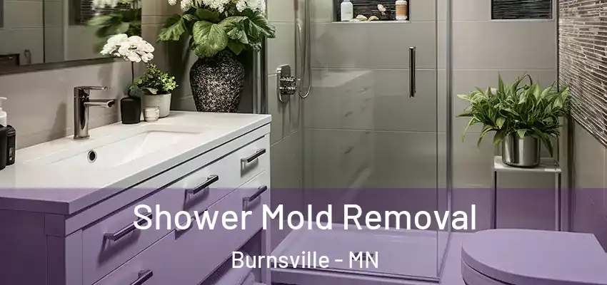  Shower Mold Removal Burnsville - MN