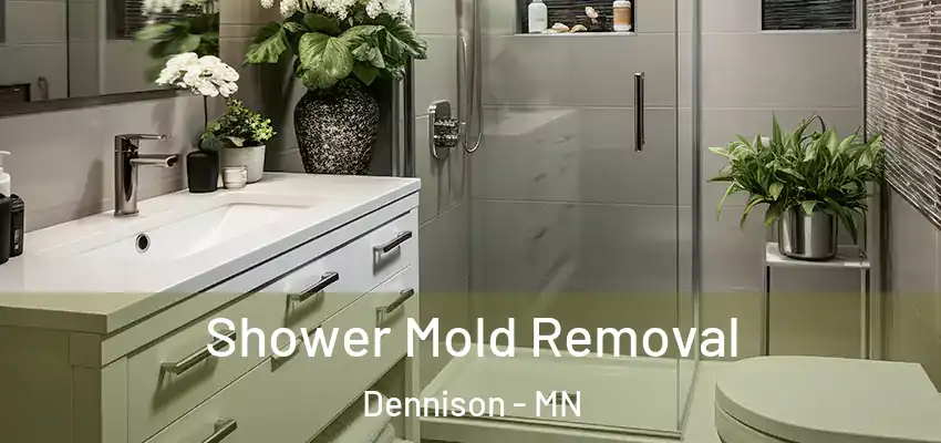  Shower Mold Removal Dennison - MN