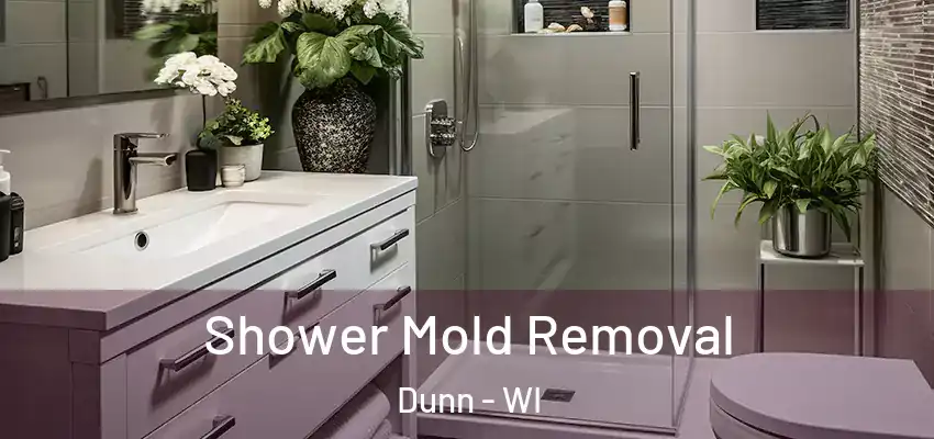  Shower Mold Removal Dunn - WI