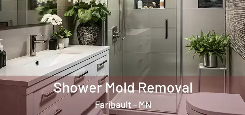 Shower Mold Removal Faribault - MN