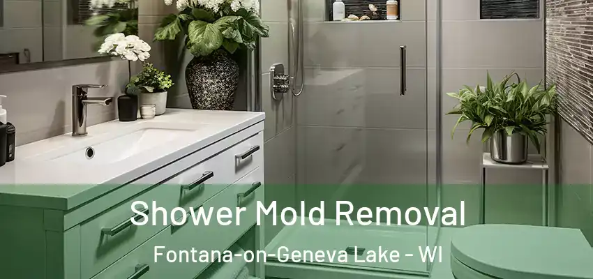  Shower Mold Removal Fontana-on-Geneva Lake - WI