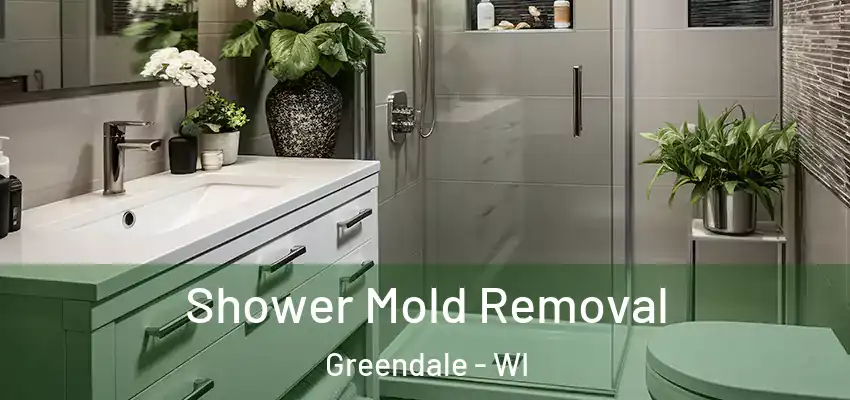  Shower Mold Removal Greendale - WI