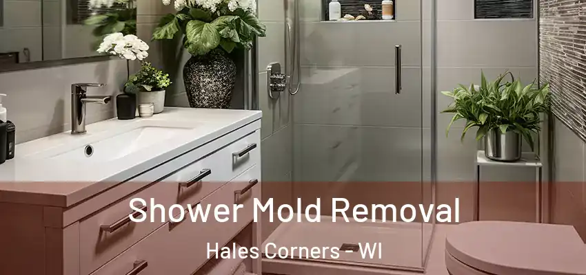  Shower Mold Removal Hales Corners - WI