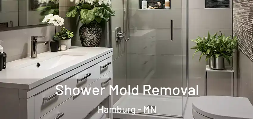  Shower Mold Removal Hamburg - MN