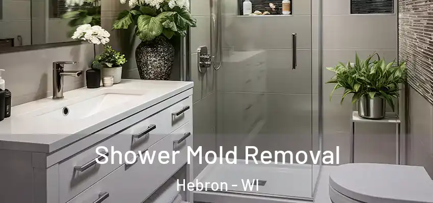  Shower Mold Removal Hebron - WI