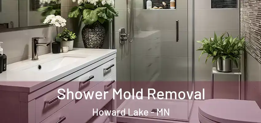  Shower Mold Removal Howard Lake - MN