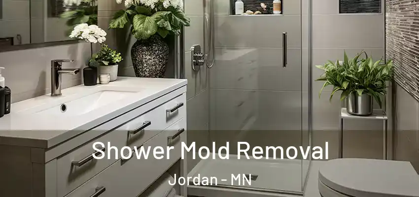  Shower Mold Removal Jordan - MN