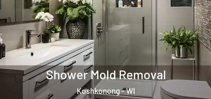 Shower Mold Removal Koshkonong - WI