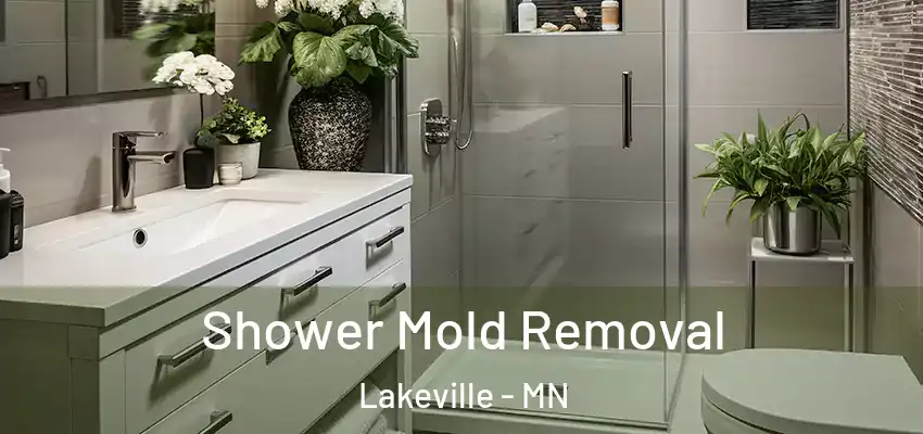  Shower Mold Removal Lakeville - MN