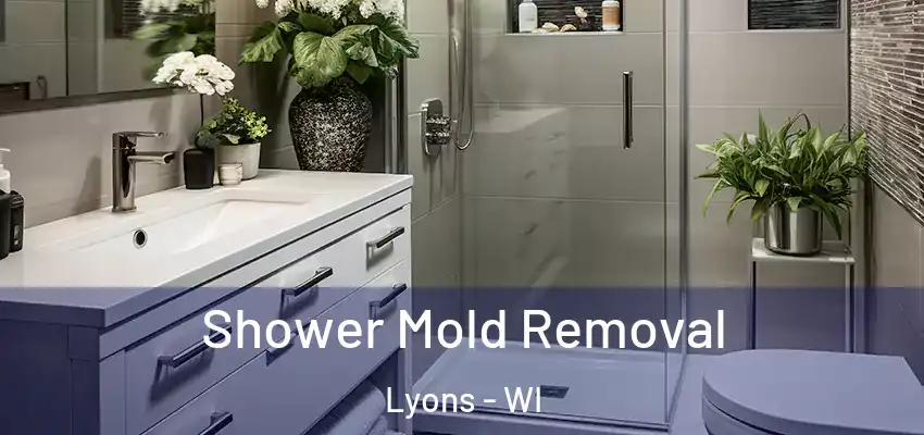  Shower Mold Removal Lyons - WI
