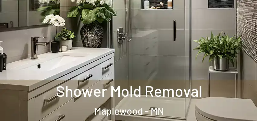  Shower Mold Removal Maplewood - MN