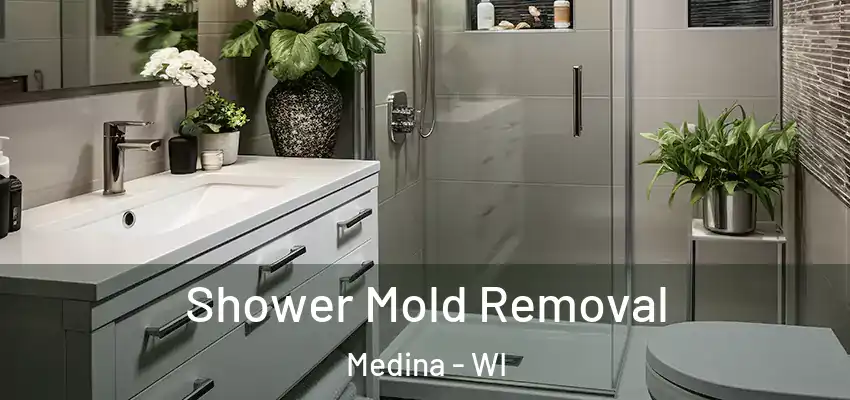 Shower Mold Removal Medina - WI