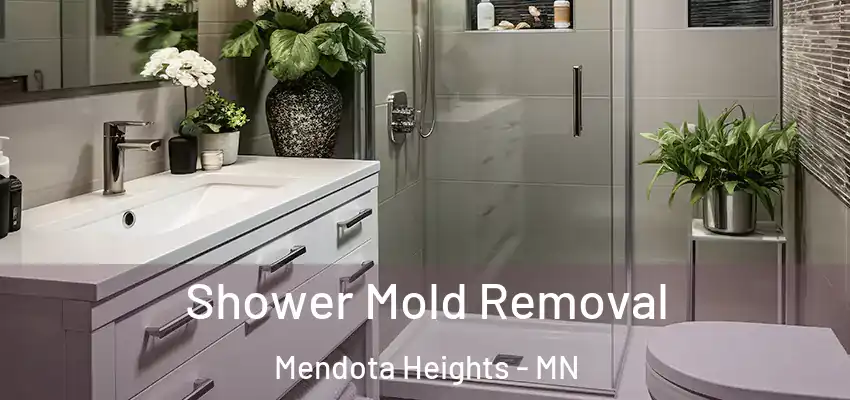  Shower Mold Removal Mendota Heights - MN