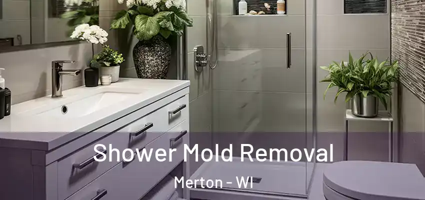  Shower Mold Removal Merton - WI