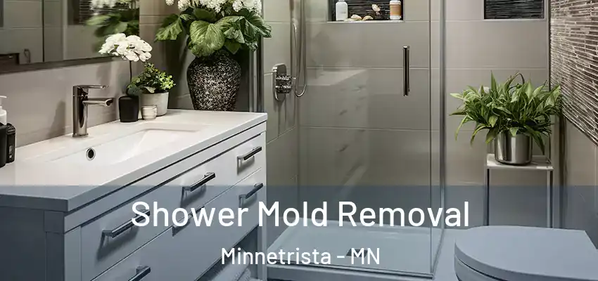  Shower Mold Removal Minnetrista - MN