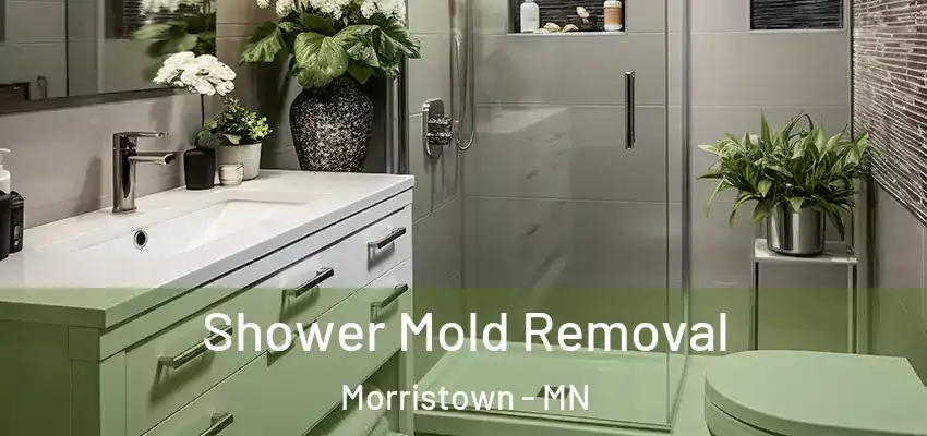  Shower Mold Removal Morristown - MN