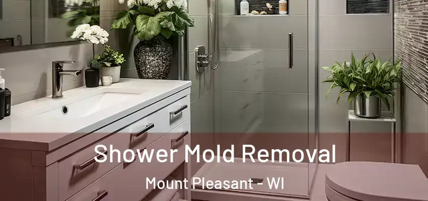  Shower Mold Removal Mount Pleasant - WI