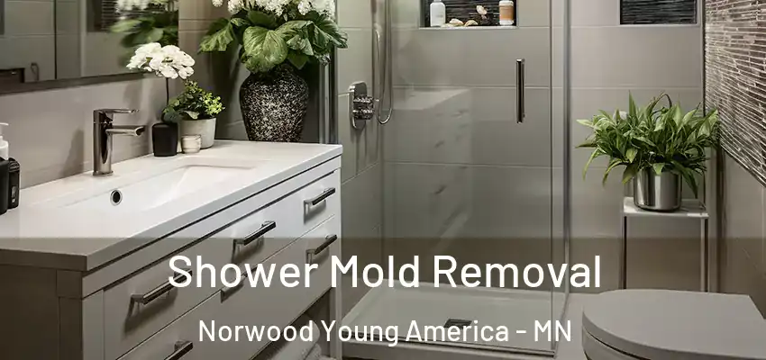  Shower Mold Removal Norwood Young America - MN