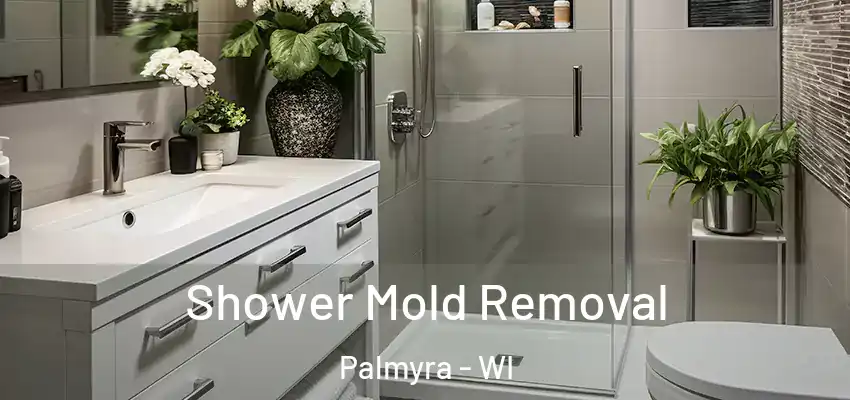  Shower Mold Removal Palmyra - WI