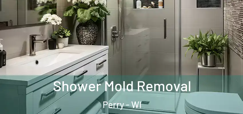  Shower Mold Removal Perry - WI