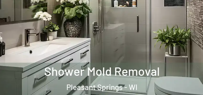  Shower Mold Removal Pleasant Springs - WI