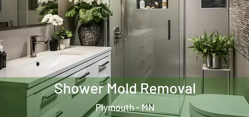  Shower Mold Removal Plymouth - MN