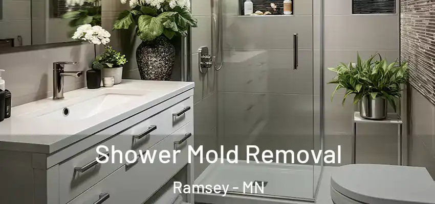  Shower Mold Removal Ramsey - MN