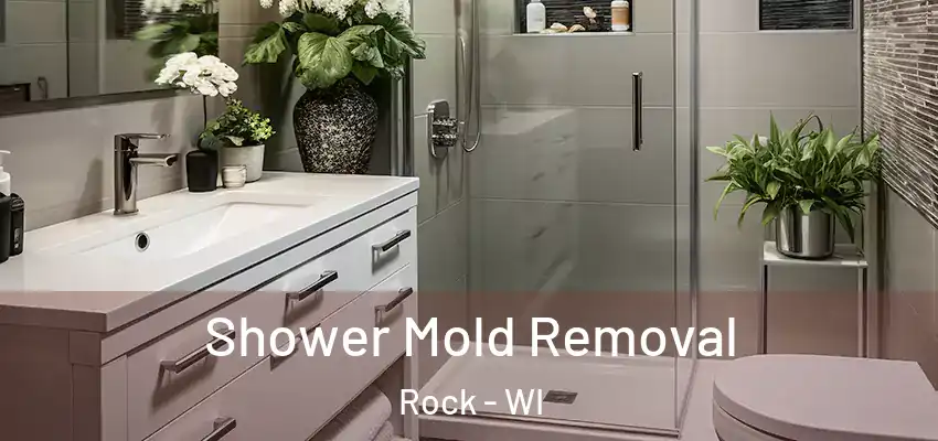  Shower Mold Removal Rock - WI
