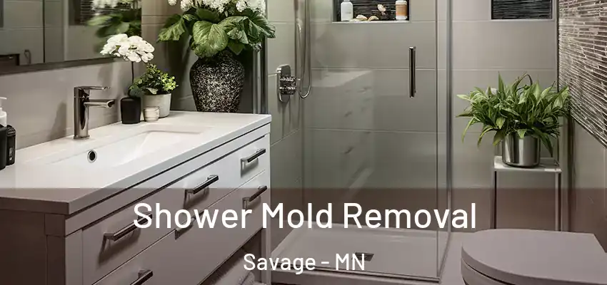  Shower Mold Removal Savage - MN