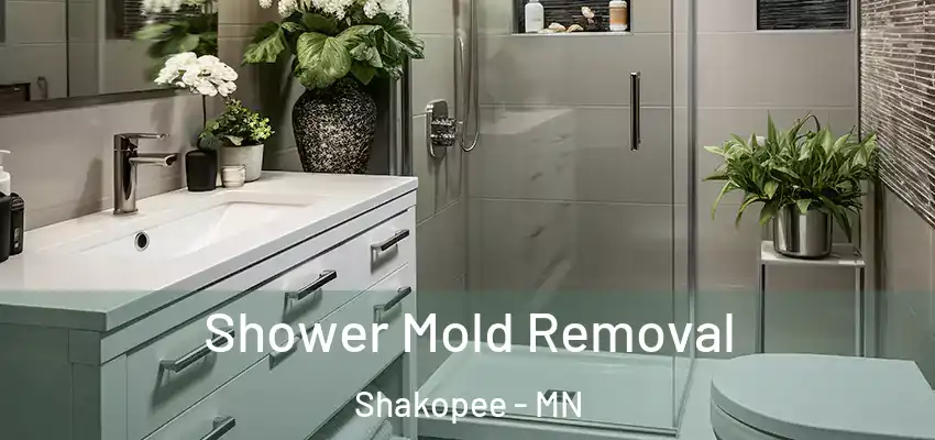  Shower Mold Removal Shakopee - MN