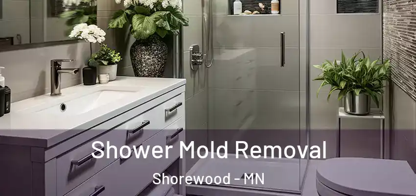  Shower Mold Removal Shorewood - MN