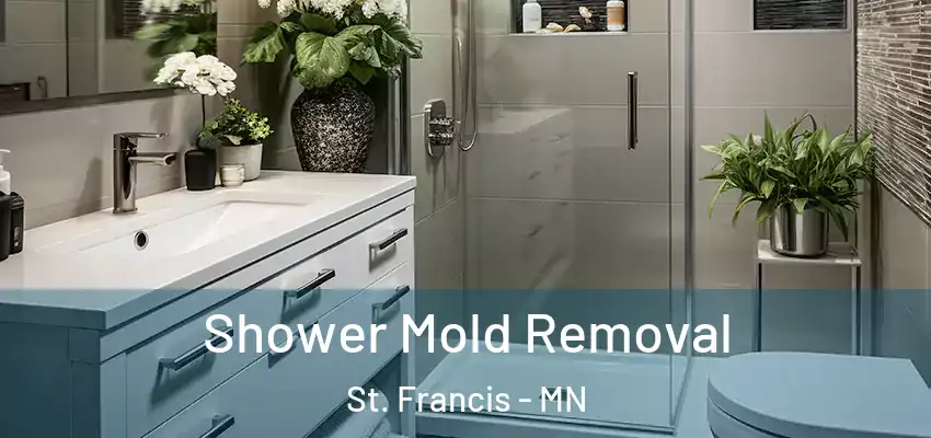  Shower Mold Removal St. Francis - MN