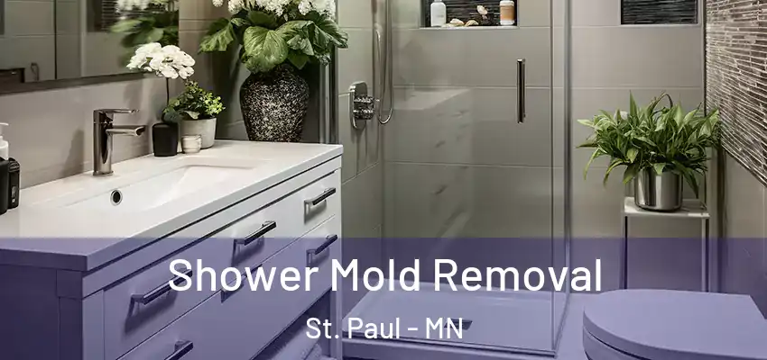  Shower Mold Removal St. Paul - MN