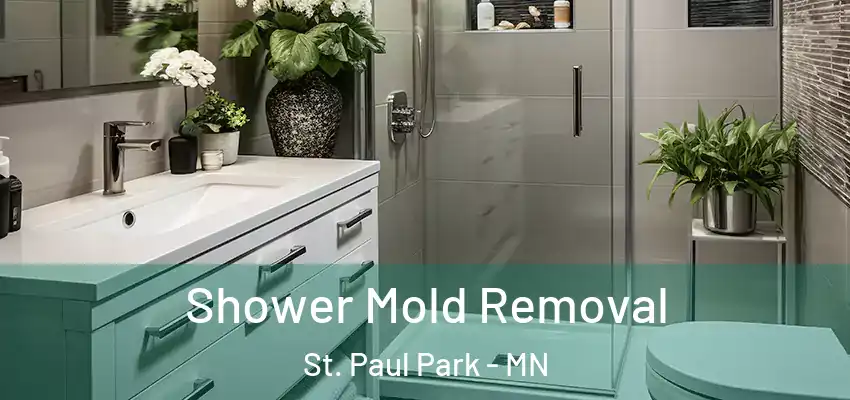  Shower Mold Removal St. Paul Park - MN