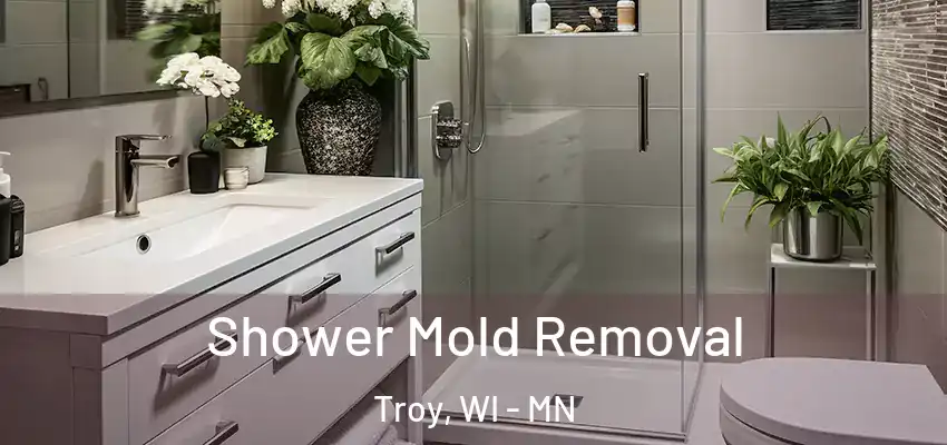  Shower Mold Removal Troy, WI - MN