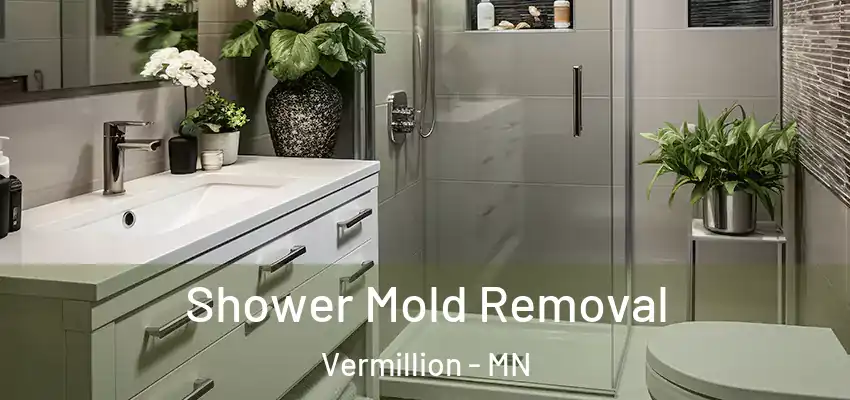  Shower Mold Removal Vermillion - MN