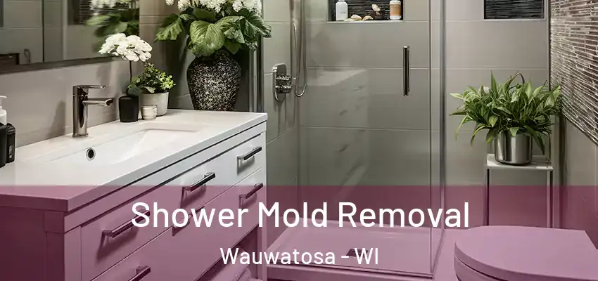  Shower Mold Removal Wauwatosa - WI