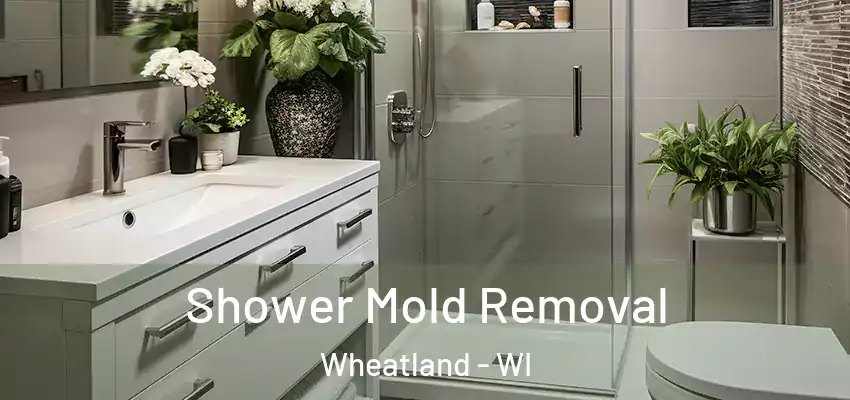  Shower Mold Removal Wheatland - WI