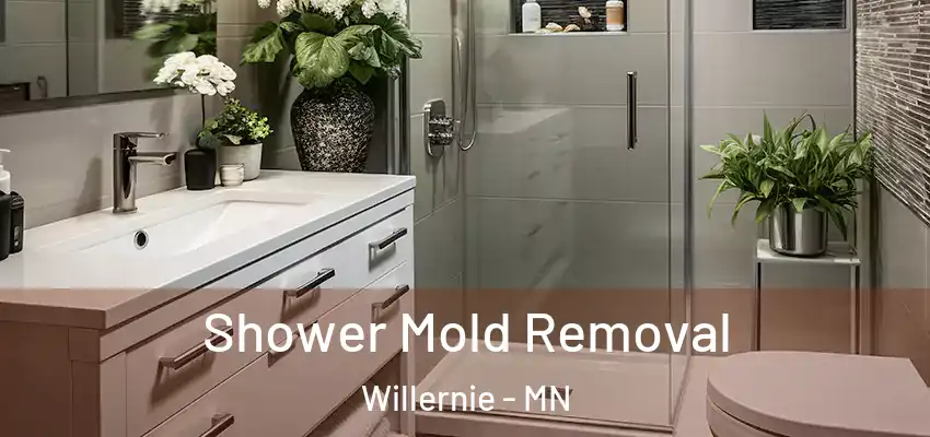  Shower Mold Removal Willernie - MN