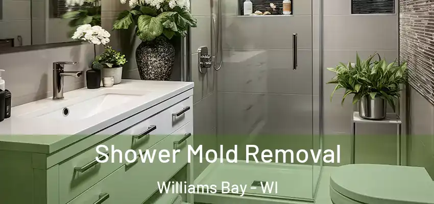  Shower Mold Removal Williams Bay - WI